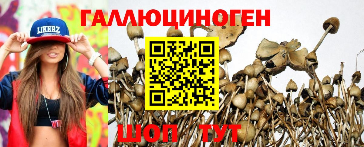 Югорск  Псилоцибиновые грибы мухоморы  Вход с VPN  Галлюциногенные грибы GOLDEN TEACHER 